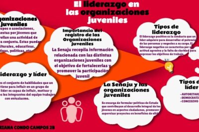 cuotas en el liderazgo juvenil necesidad o carga