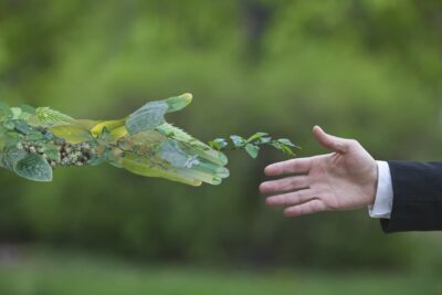 cuotas y su relacion con la sostenibilidad ambiental