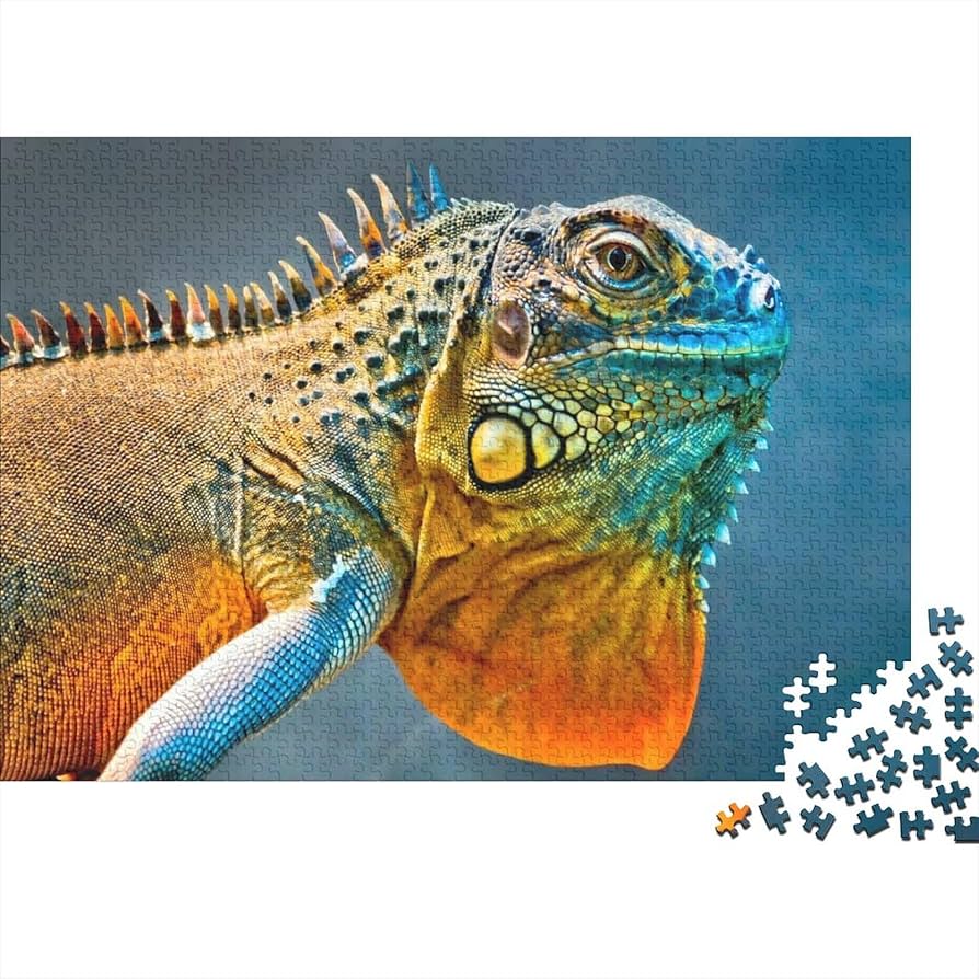 desafios ideales de rompecabezas para reptiles activos