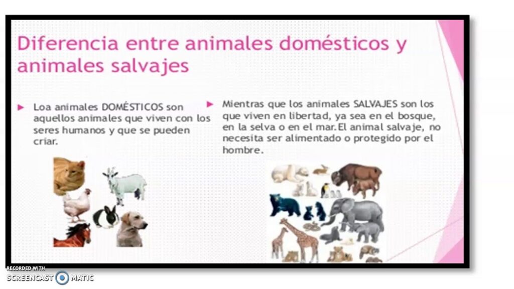 Diferencias en enriquecimiento: especies salvajes y domésticas 1 diferencias en enriquecimiento especies salvajes y domesticas