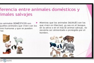 diferencias en enriquecimiento especies salvajes y domesticas