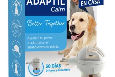 difusores de ambiente para mascotas bienestar y confort hogar