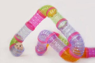 diversion y seguridad juguetes de goma ideales para hamsters