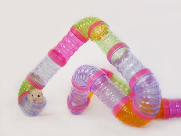 diversion y seguridad juguetes de goma ideales para hamsters