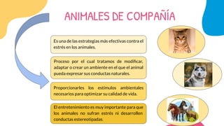 documentacion del enriquecimiento en un diario de mascotas
