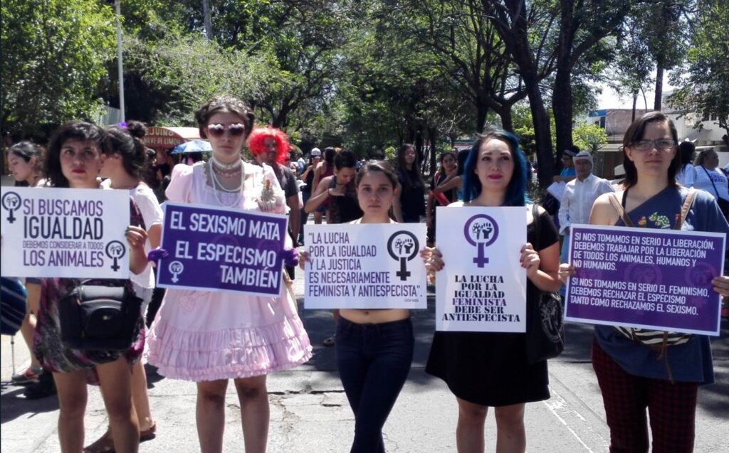 ecofeminismo y sexualidad conexiones y exploracion profunda