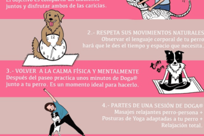 ejemplos de ejercicios de relajacion para mascotas