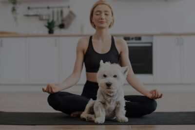 el ejercicio regular puede extender la vida de tu mascota