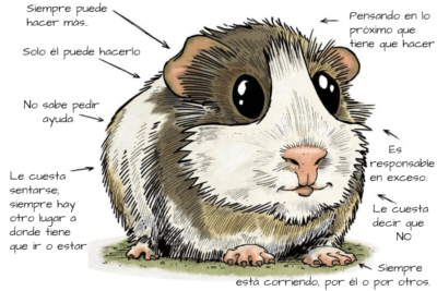 el rol de la rutina en el comportamiento de los hamsters