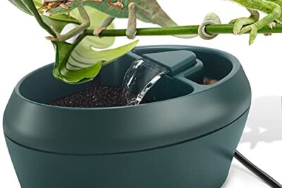 enseres vitales para el alojamiento de un camaleon