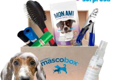 equipo esencial de limpieza para cuidar mascotas exoticas