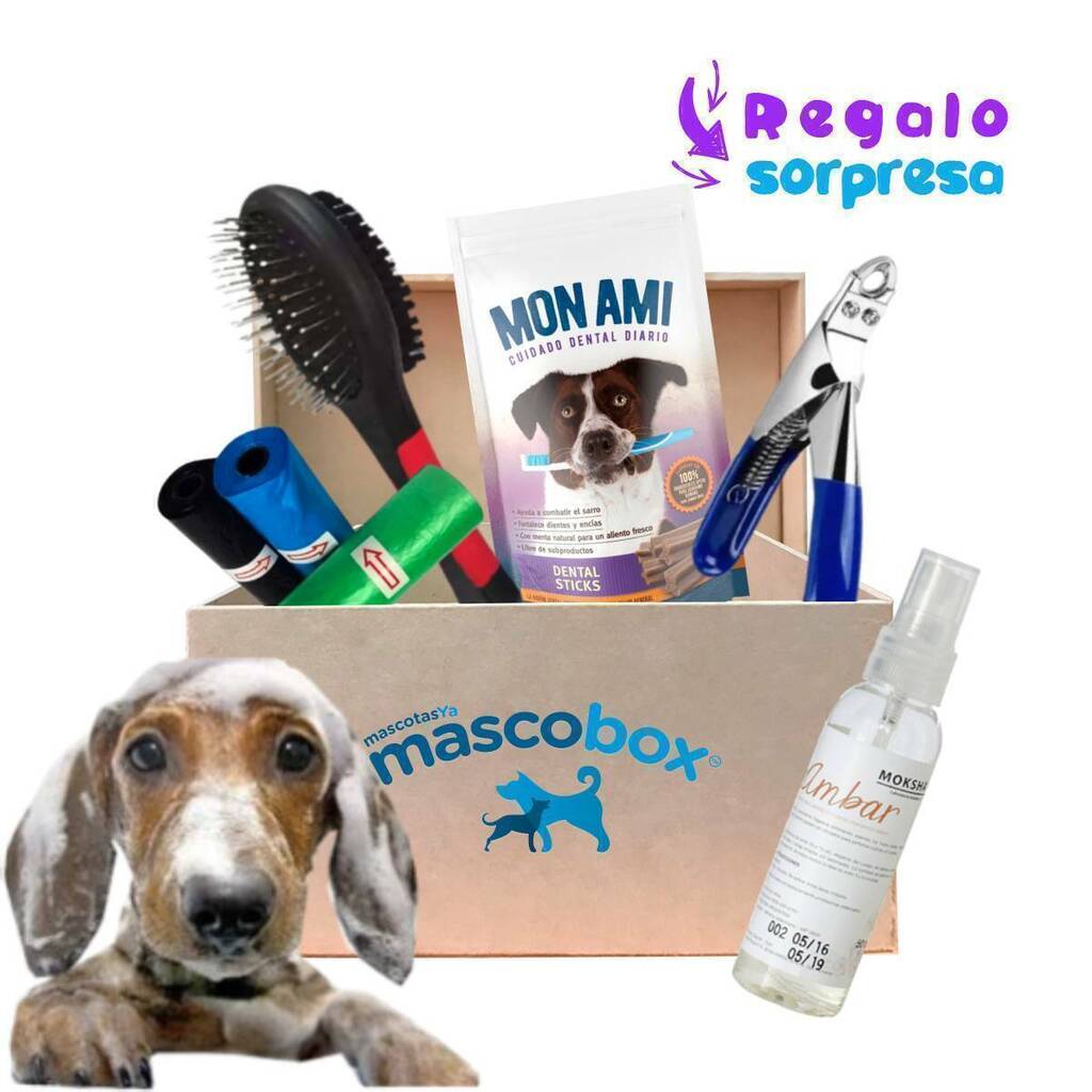 Equipo esencial de limpieza para cuidar mascotas exóticas 1 equipo esencial de limpieza para cuidar mascotas