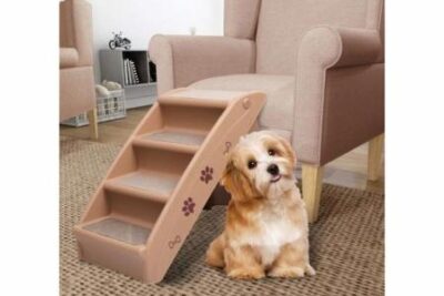 escaleras seguras para mascotas consejos y recomendaciones