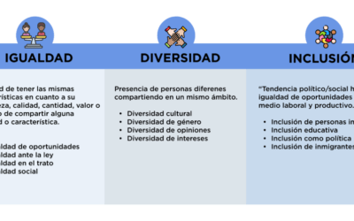estrategias efectivas para promover la diversidad en la visualizacion