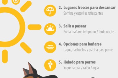 estrategias para enfriar a un animal en un viaje largo