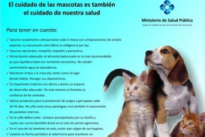 evitar problemas de salud en mascotas por alojamiento inadecuado