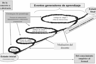 experiencia de enriquecimiento en diversas etapas de la vida
