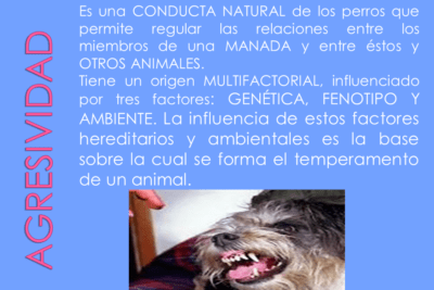 factores e influencias que moldean el comportamiento animal