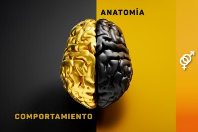 feminismo y anatomia relacion entre genero y cuerpo