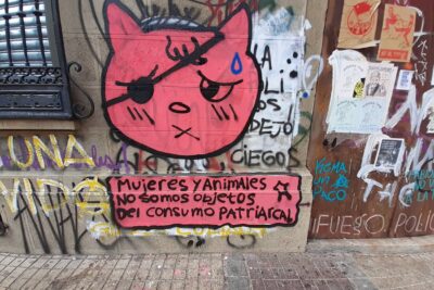 feminismo y derechos de los animales una relacion en comun