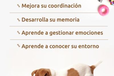 fomentar el juego libre en tus mascotas de manera efectiva