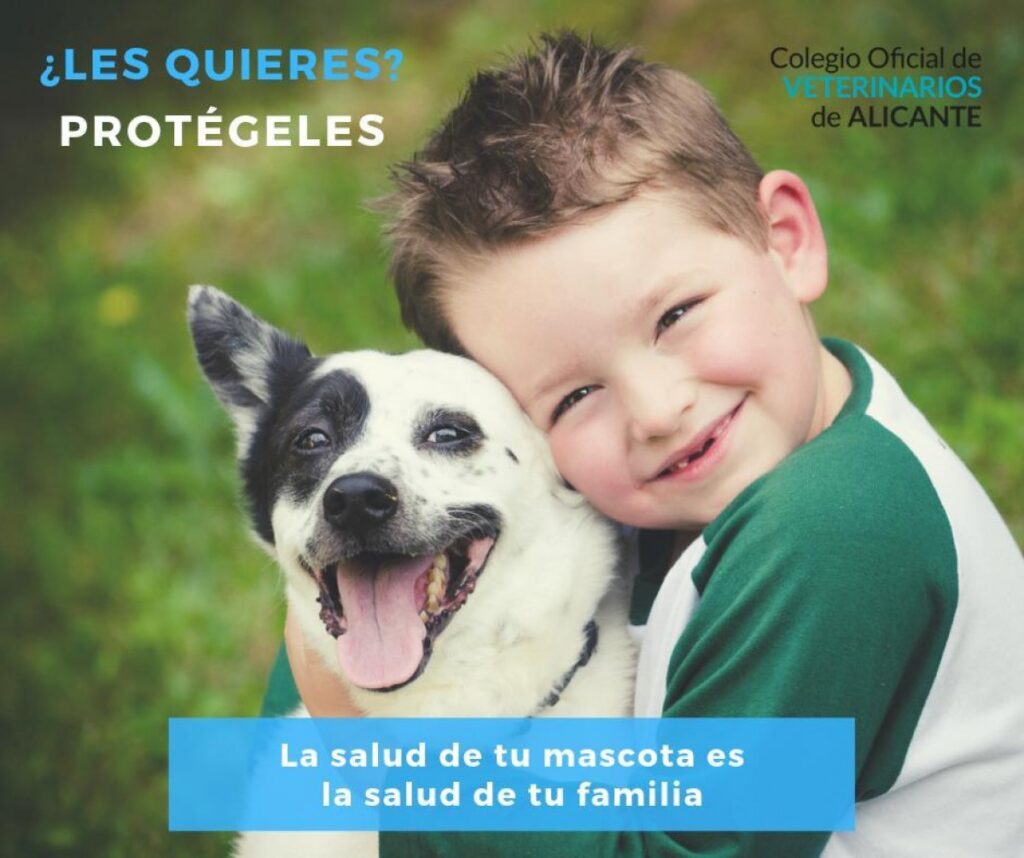 Formación de Estudiantes de Salud para el Cuidado de Mascotas 1 formacion de estudiantes de salud para el cuidado de mascotas