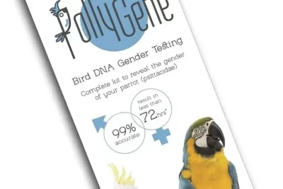 funcionamiento fascinante de las pruebas de adn en aves