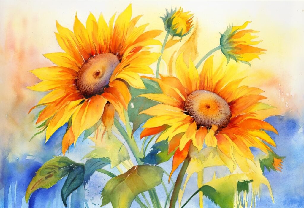 girasoles creativos innovaciones para acuaristas apasionados