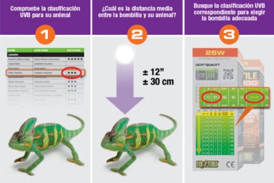 guia clave sobre etiquetas de bombillas para reptiles