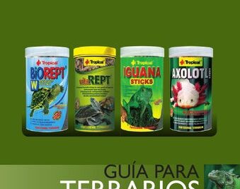 guia completa de filtros ideales para terrarios y su uso