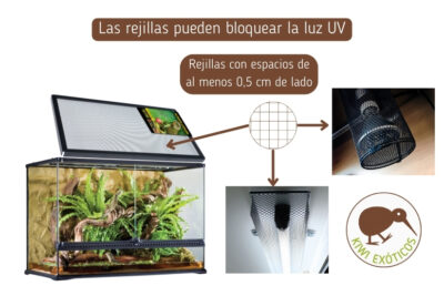 guia completa de luces ideales para terrarios de jungla
