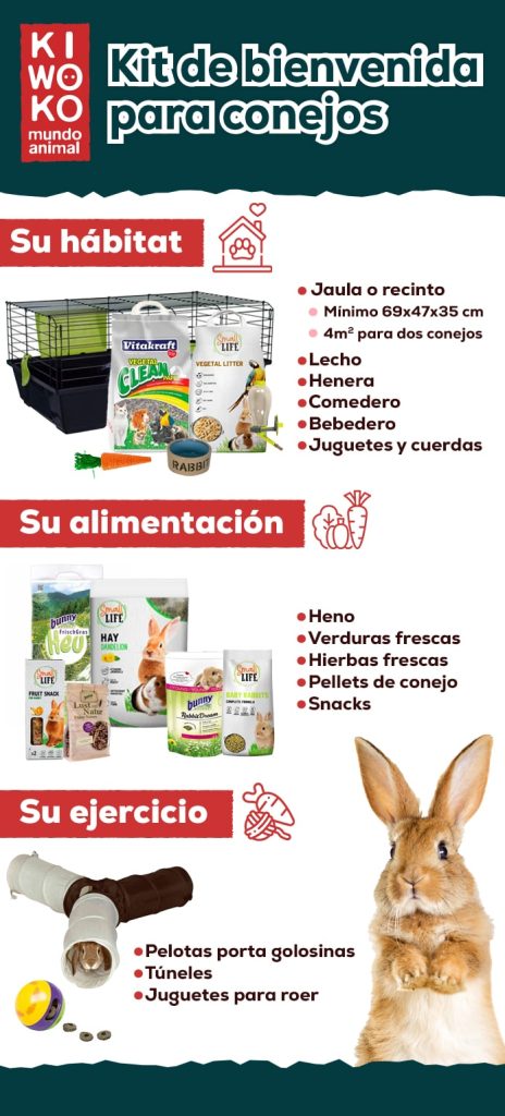 guia completa para disciplinar correctamente a tu conejo domestico