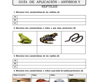 guia completa para realizar un examen fisico en reptiles