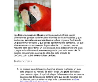guia de documentacion necesaria para adoptar un loro