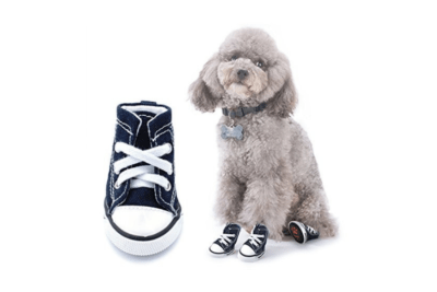 guia de zapatillas de descanso para perros estilo y comodidad