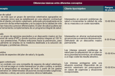 guia para crear un plan de cuidados veterinarios efectivo