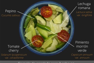 guia para elaborar una dieta saludable para cobayas en casa