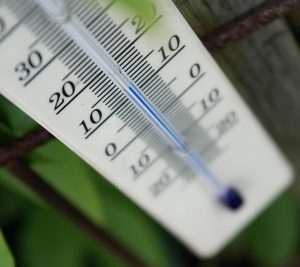 guia para elegir el termometro perfecto para tu terrario