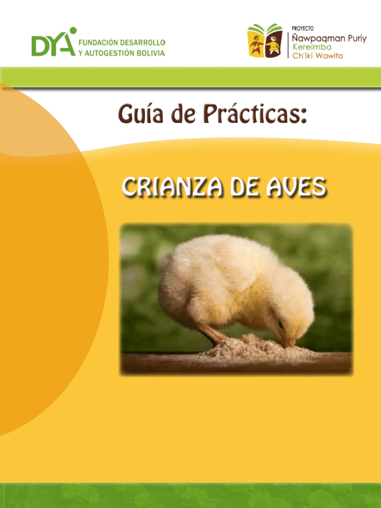 guia para seleccionar hembras de aves para cria eficazmente