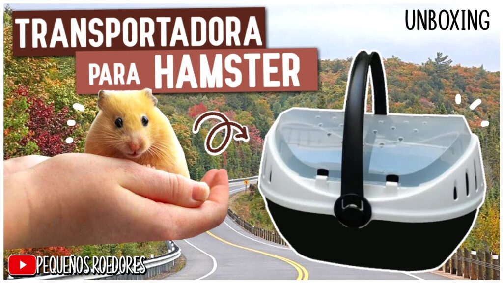 Guía para transportar hámsteres de forma segura y efectiva 1 guia para transportar hamsteres de forma segura y efectiva