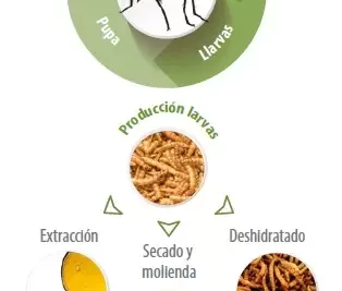 hay beneficios en la alimentacion basada en insectos