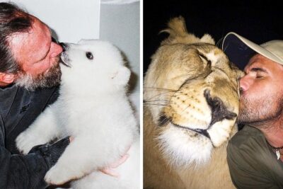 historias famosas de animales exoticos bien socializados