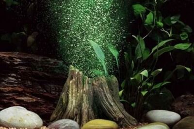 ideas y consejos para la decoracion de acuarios de reptiles