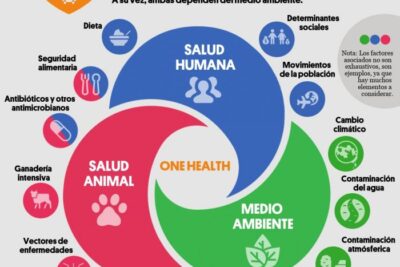 identificacion de problemas de salud asociados al habitat