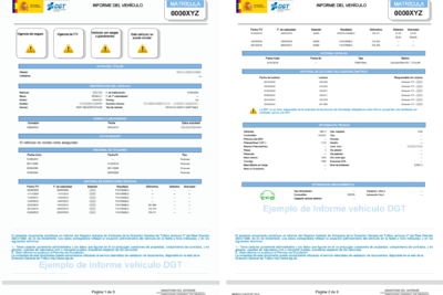 identificacion de un propietario irresponsable y sus caracteristicas