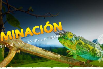 impacto de la luz natural en la salud y dieta de reptiles