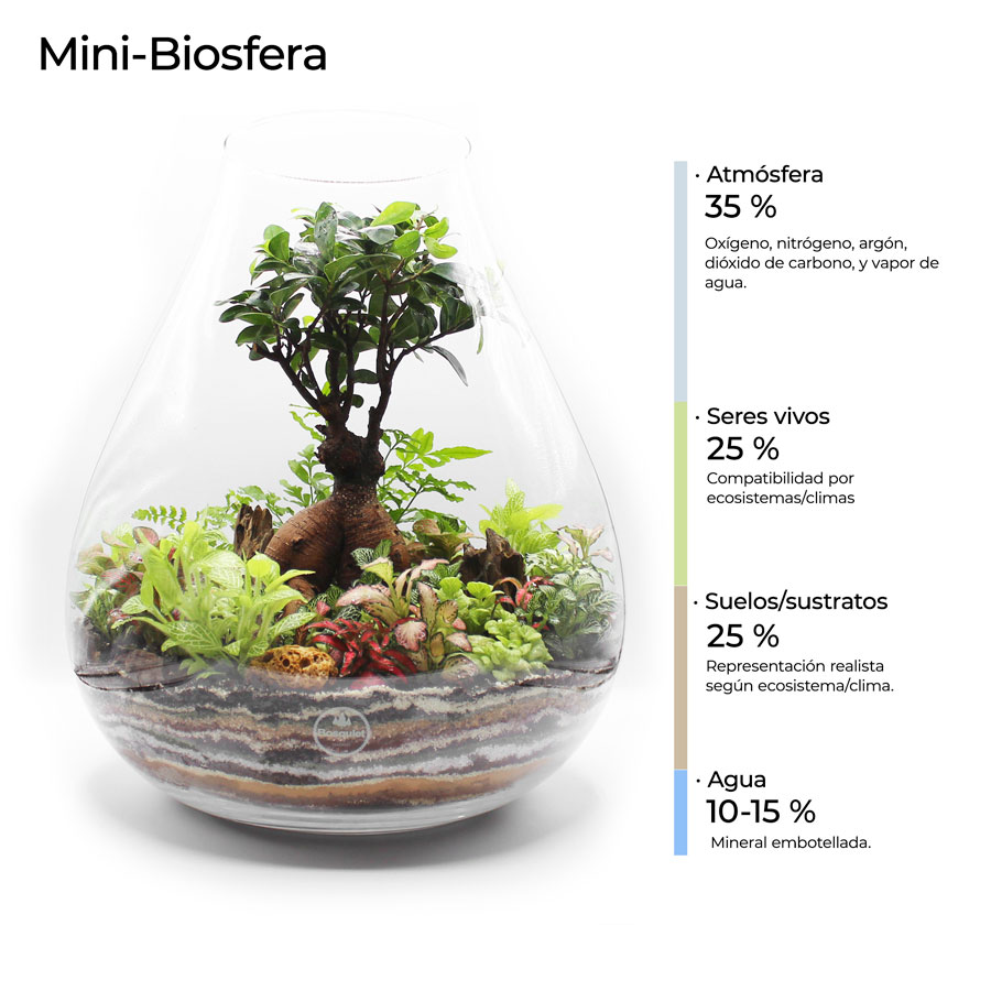 Impacto de las estaciones en el ecosistema del terrario: consejos 1 impacto de las estaciones en el ecosistema del terrario consejos
