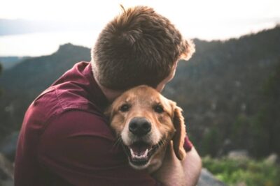 impacto del enriquecimiento en la salud mental de mascotas