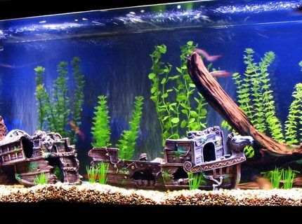 impresionantes decoraciones creativas para acuarios tematicos