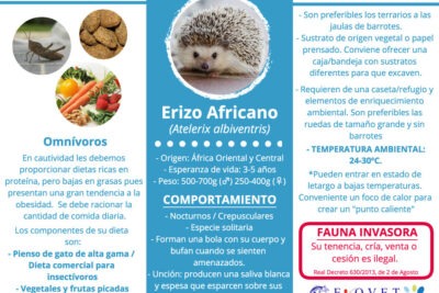 influencia de la masa corporal en la ingesta de alimento de erizos